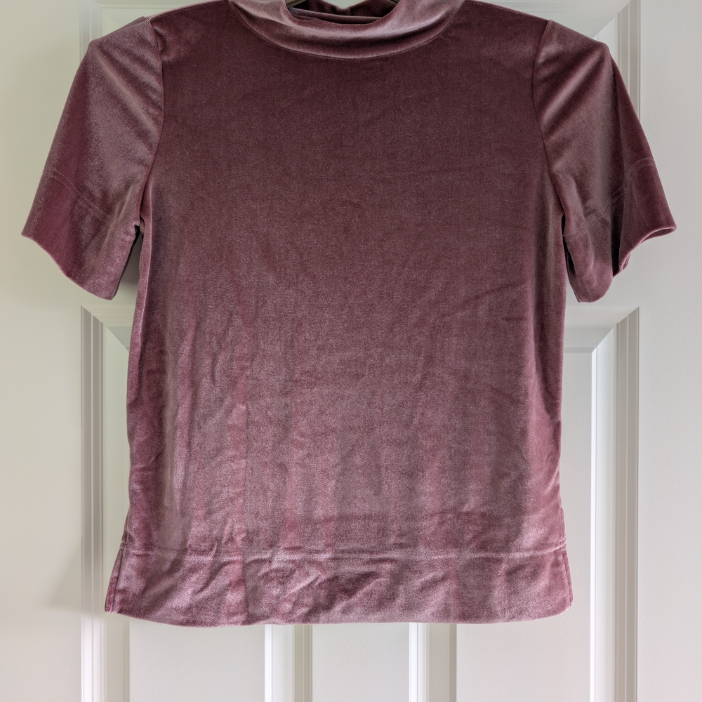 Anthropologie Velvet Short Sleeve Top in Dusty Rose